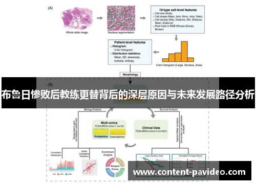 布鲁日惨败后教练更替背后的深层原因与未来发展路径分析
