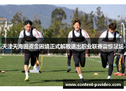 天津天海因资金困境正式解散退出职业联赛震惊足坛 天津天海因资金困境正式解散退出职业联赛震惊足坛