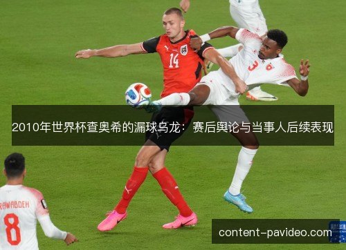 2010年世界杯查奥希的漏球乌龙：赛后舆论与当事人后续表现